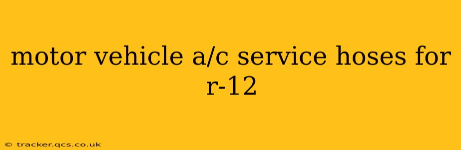 motor vehicle a/c service hoses for r-12