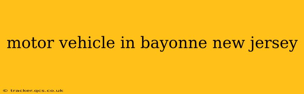 motor vehicle in bayonne new jersey