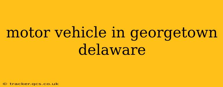 motor vehicle in georgetown delaware
