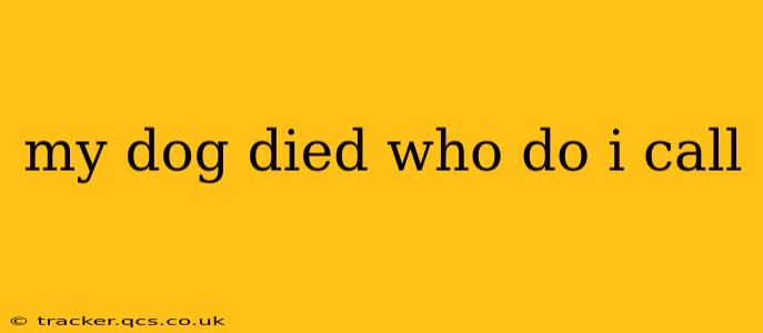 my dog died who do i call