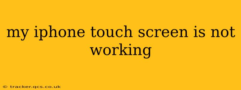 my iphone touch screen is not working
