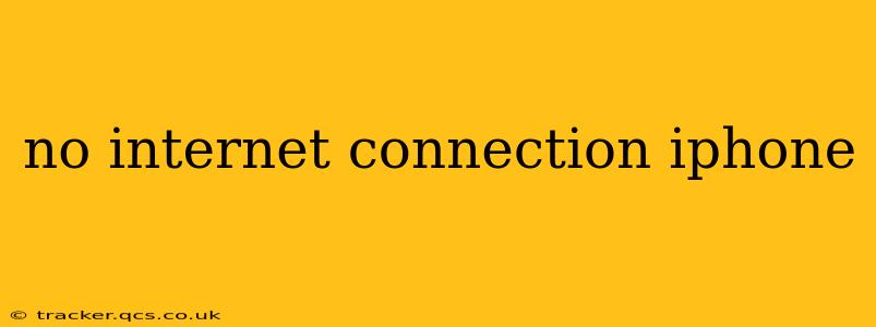 no internet connection iphone
