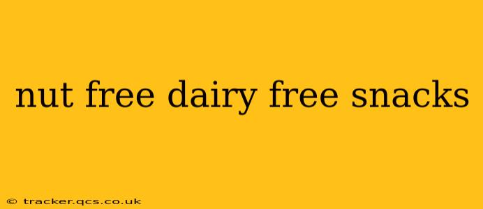 nut free dairy free snacks