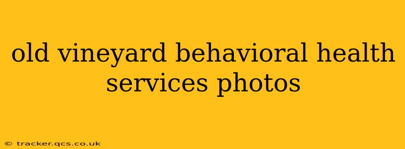 old vineyard behavioral health services photos