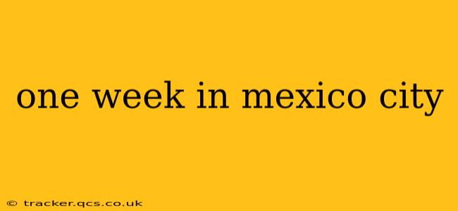 one week in mexico city