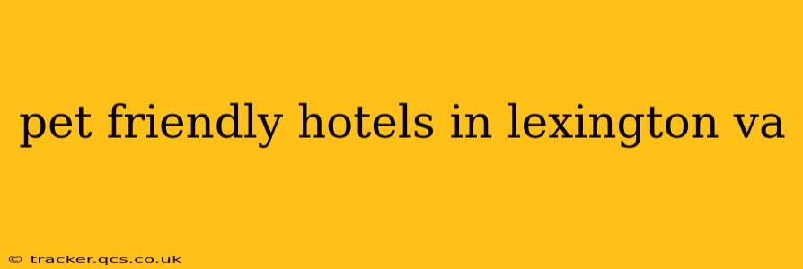 pet friendly hotels in lexington va