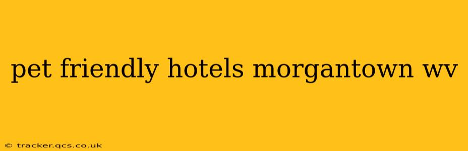 pet friendly hotels morgantown wv