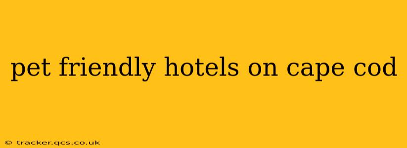 pet friendly hotels on cape cod