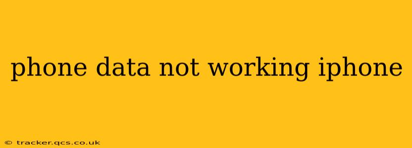 phone data not working iphone