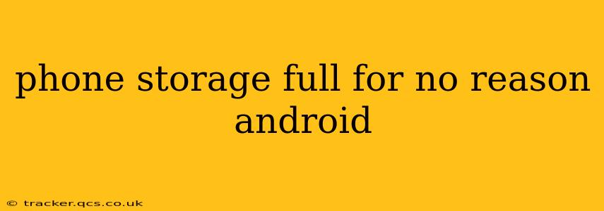 phone storage full for no reason android
