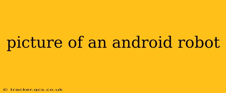 picture of an android robot