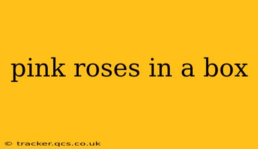 pink roses in a box