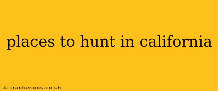 places to hunt in california