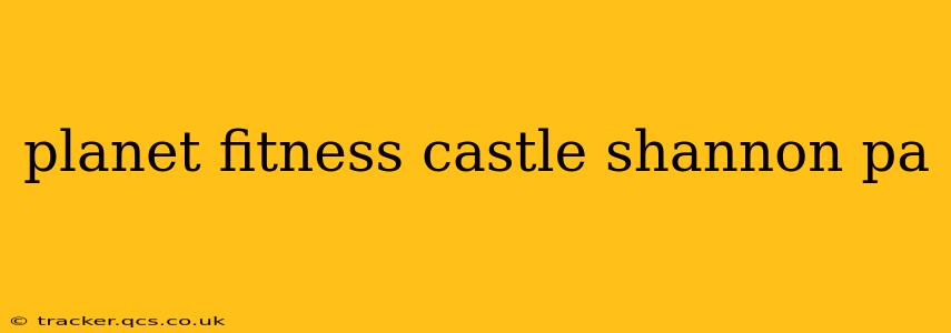 planet fitness castle shannon pa