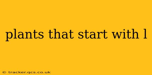 plants that start with l