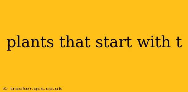 plants that start with t