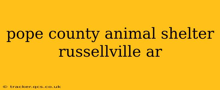 pope county animal shelter russellville ar