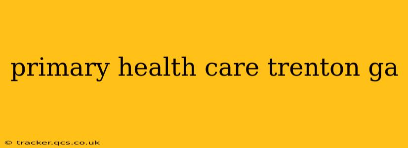 primary health care trenton ga