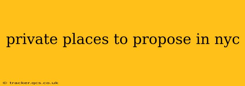 private places to propose in nyc