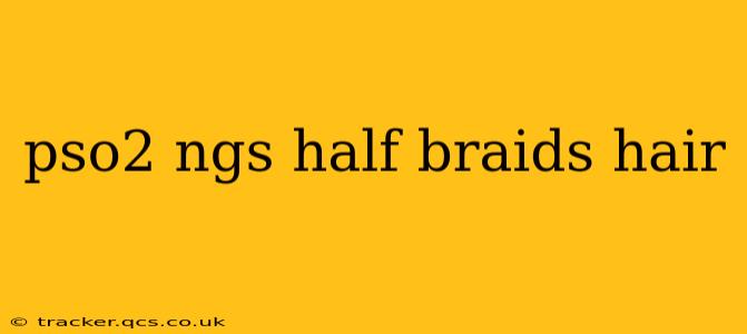 pso2 ngs half braids hair