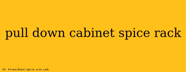 pull down cabinet spice rack