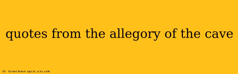 quotes from the allegory of the cave