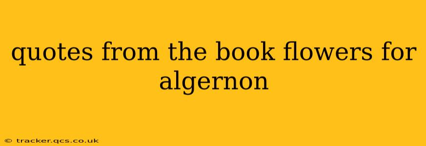 quotes from the book flowers for algernon