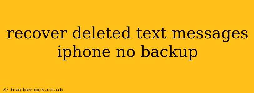 recover deleted text messages iphone no backup