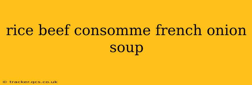 rice beef consomme french onion soup