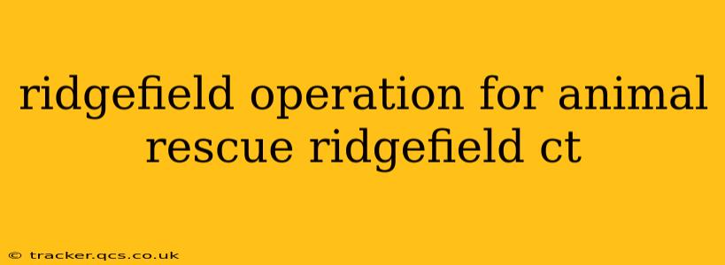ridgefield operation for animal rescue ridgefield ct