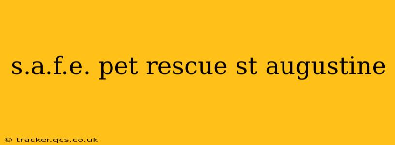 s.a.f.e. pet rescue st augustine