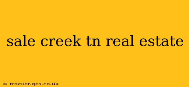 sale creek tn real estate
