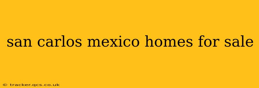 san carlos mexico homes for sale