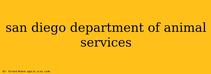 san diego department of animal services