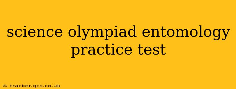 science olympiad entomology practice test