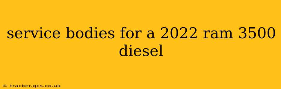 service bodies for a 2022 ram 3500 diesel