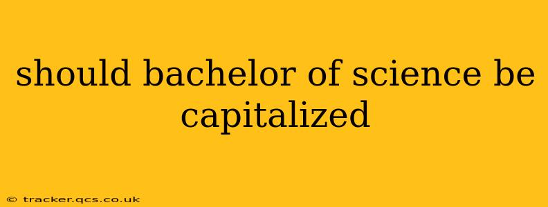 should bachelor of science be capitalized