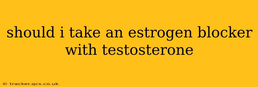 should i take an estrogen blocker with testosterone