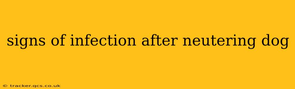 signs of infection after neutering dog