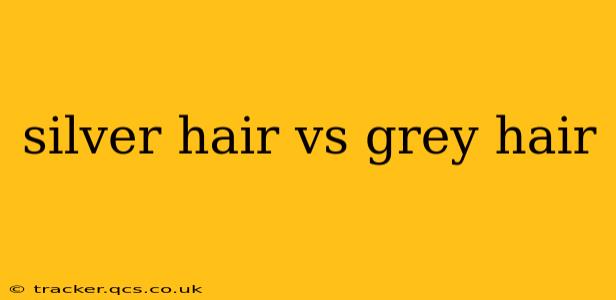 silver hair vs grey hair