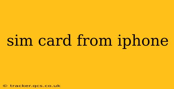 sim card from iphone