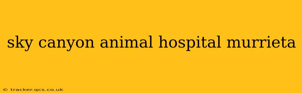 sky canyon animal hospital murrieta