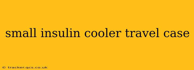 small insulin cooler travel case