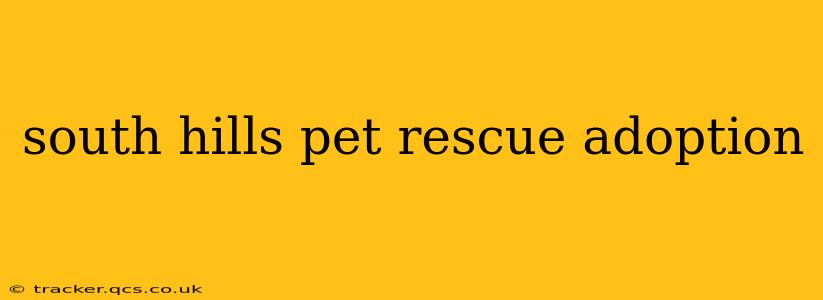 south hills pet rescue adoption
