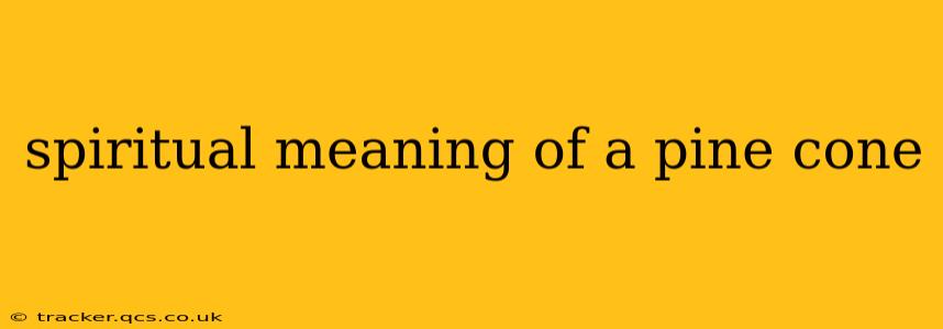 spiritual meaning of a pine cone