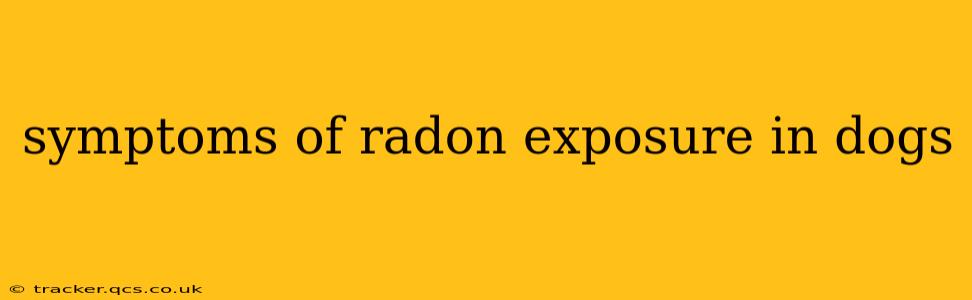 symptoms of radon exposure in dogs
