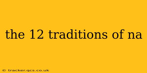 the 12 traditions of na