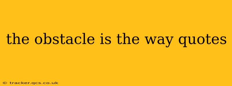 the obstacle is the way quotes