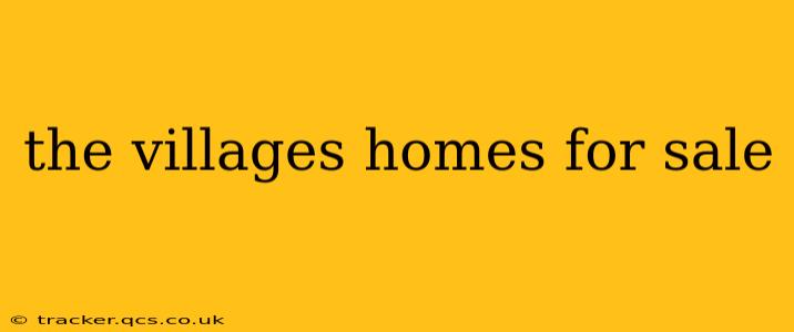 the villages homes for sale