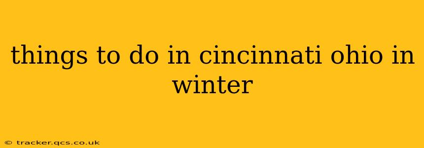 things to do in cincinnati ohio in winter